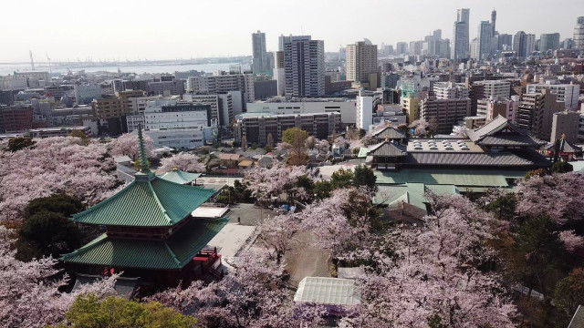 孝道山本仏殿